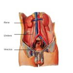 Diapositiva01