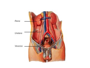 Diapositiva01