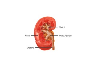 Diapositiva04