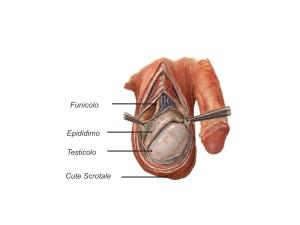 Diapositiva05