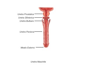 Diapositiva06